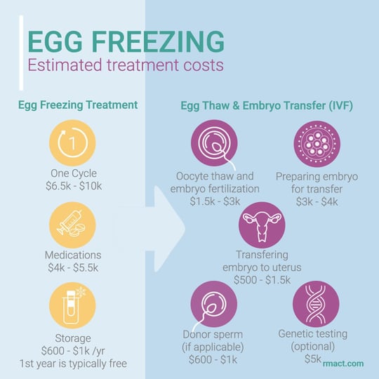 How Much To Get Your Eggs Frozen