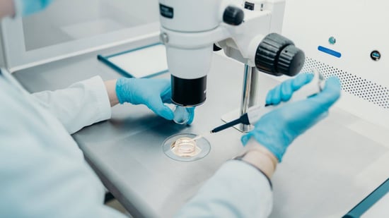 embryologist working in ivf laboratory under microscope