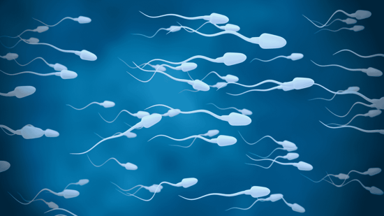 an image of sperm swimming against a blue background